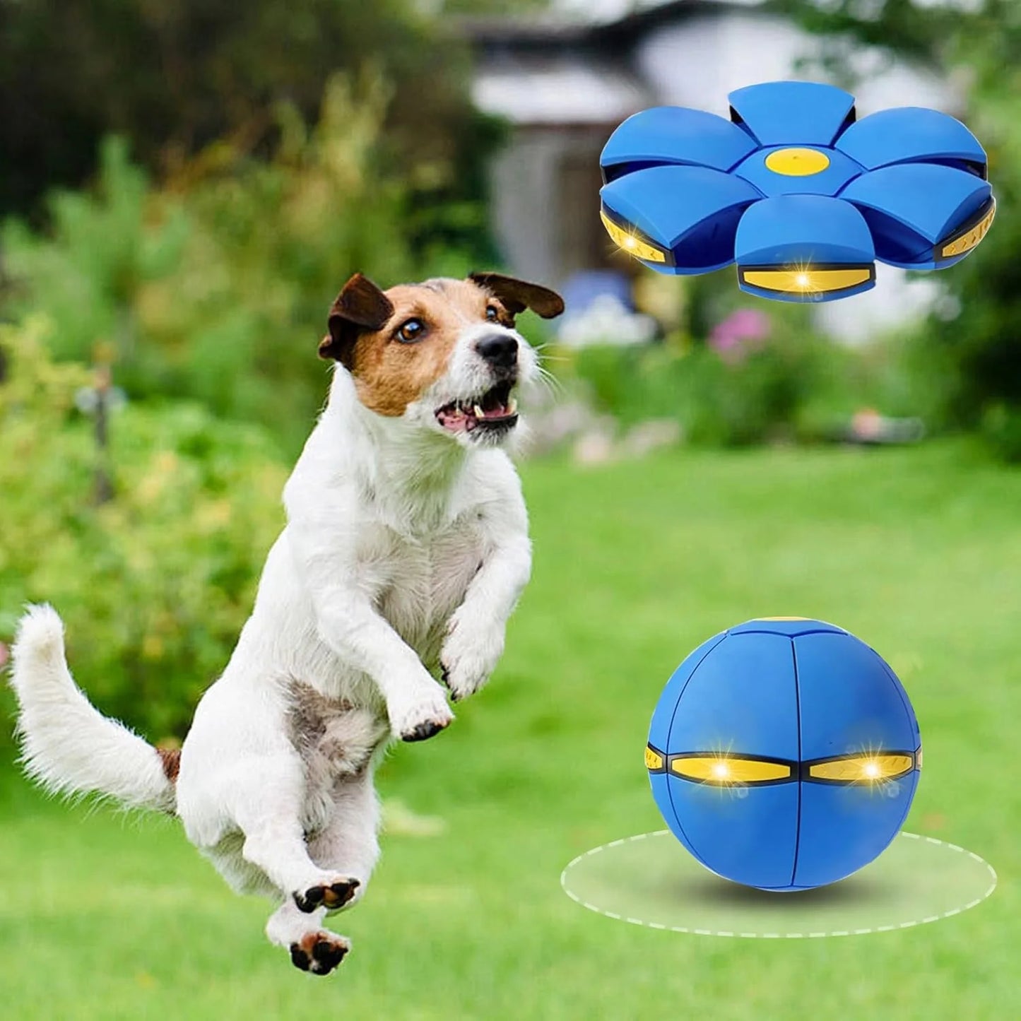 Final 3 Hours: 60%OFF🔥Kids’ Magic Metaball — bouncy ball & flying saucer for family and pets