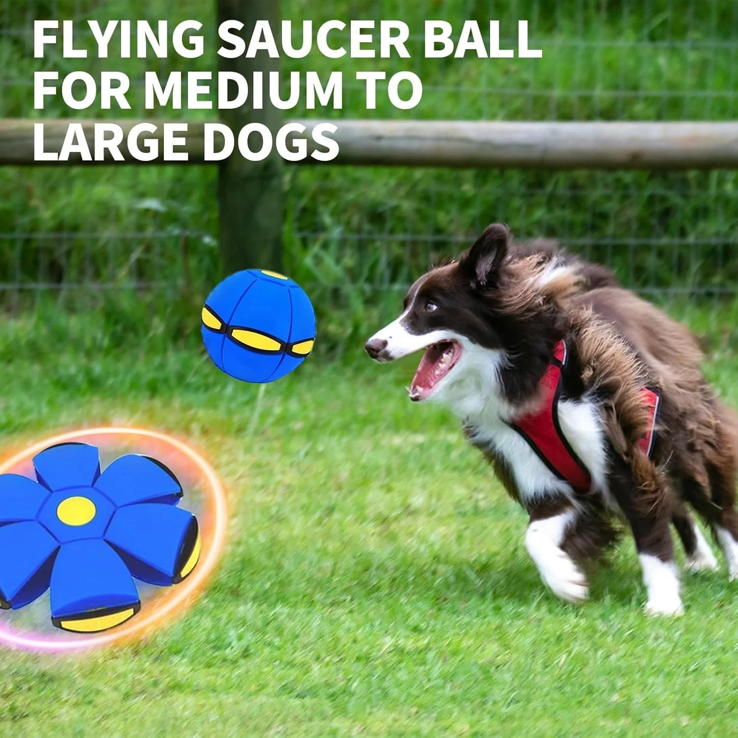 Final 3 Hours: 60%OFF🔥Kids’ Magic Metaball — bouncy ball & flying saucer for family and pets