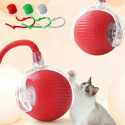Cat&Dog toy ball cat&dog toy electric moving ball toy