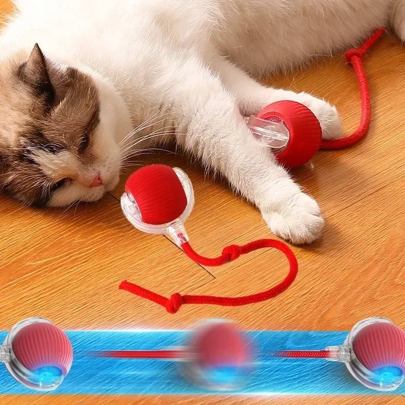 Cat&Dog toy ball cat&dog toy electric moving ball toy
